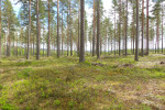 Holiday Home HagforsSemester | Hagfors Vågbackens Motionsområde
